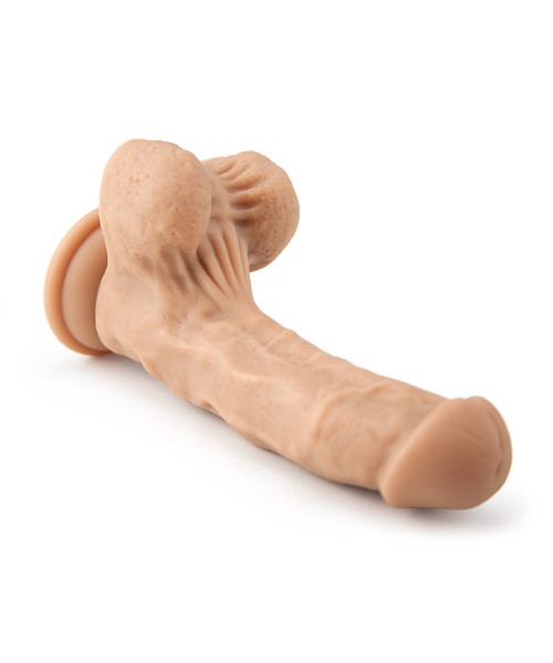 Mr. Erectus