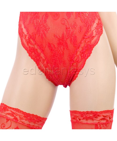 Lace teddy with stockings
