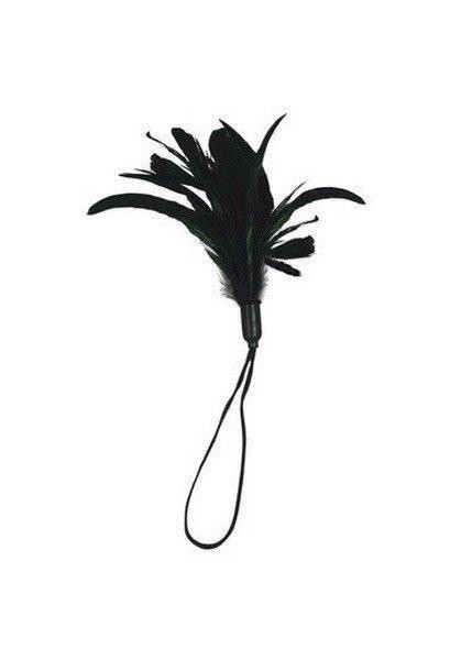 Pleasure Feather