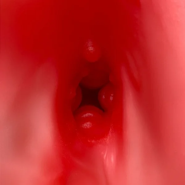 Sugar babe — image 10 of 12