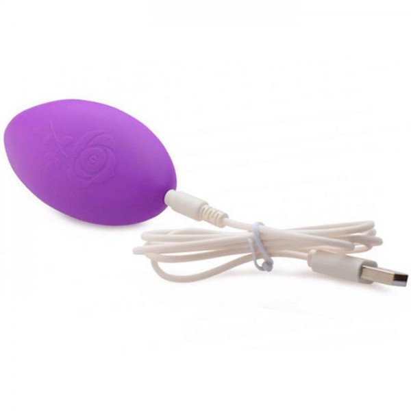 Naughty Remote Control Panty Vibrator
