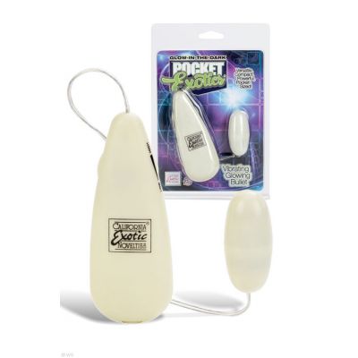 California Exotic Glow in the Dark Vibrating Glowing 2 Bullet