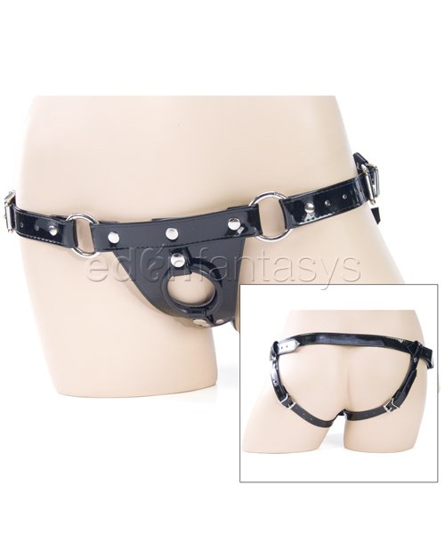 Black cat harness