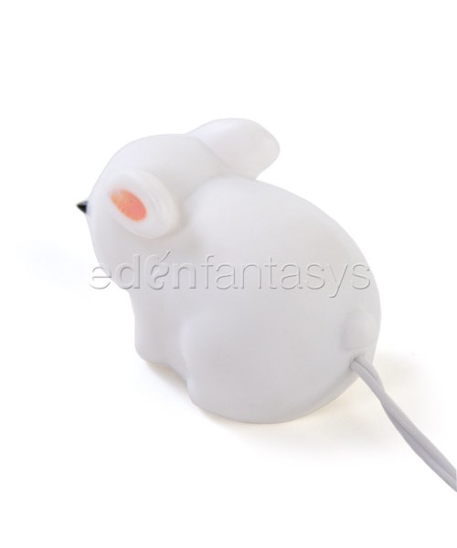 Mini mini rabbit