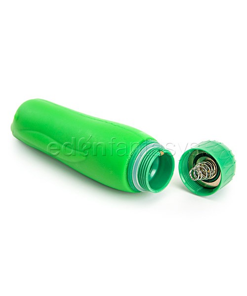 Green dolphin