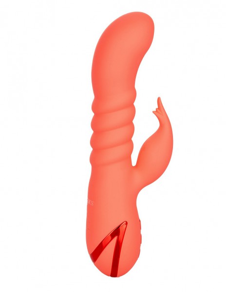 CALIFORNIA DREAMING ORANGE COUNTY CUTIE