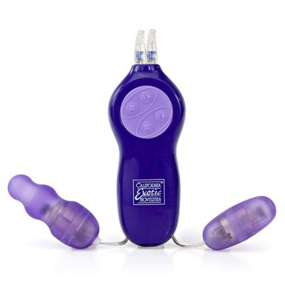 Passion bullets bullet and mini probe