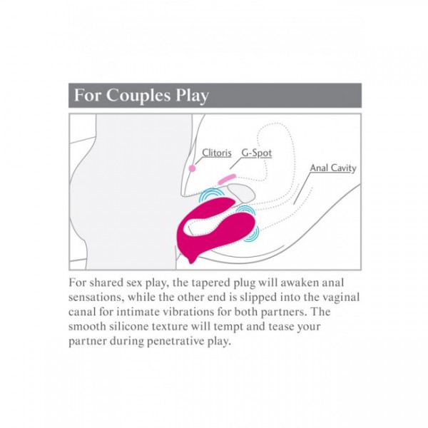 Pipedream Double Ecstasy Couples Wearable Vibrator With Remote