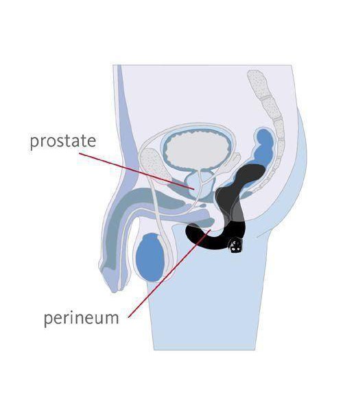 Fun Factory Duke Prostate Massager