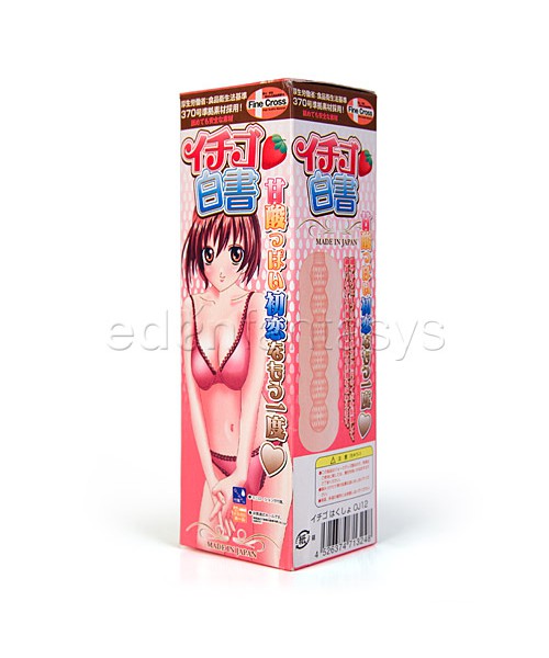 Ichigo Hakusho sleeve