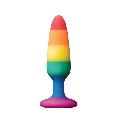 Colours Pride Edition Pleasure Plug Small