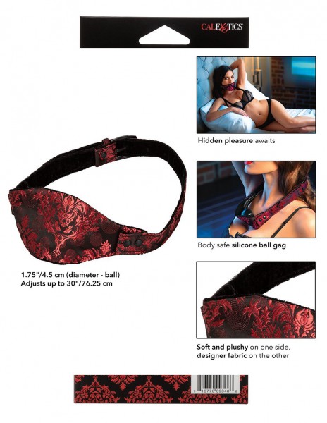 Scandal Hidden Pleasure Ball Gag