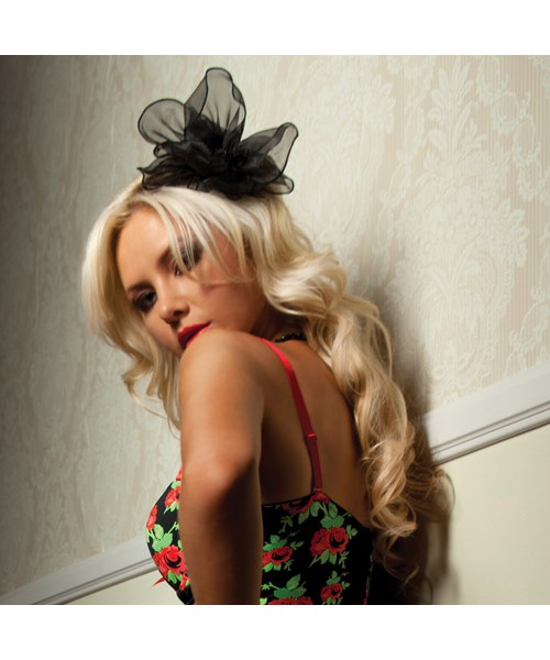 La vie en rose bustier