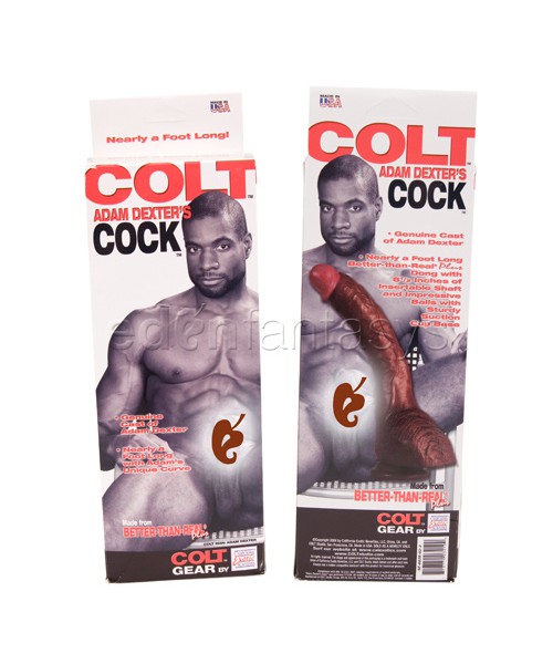 Colt Adam Dexter dong — image 5 of 5
