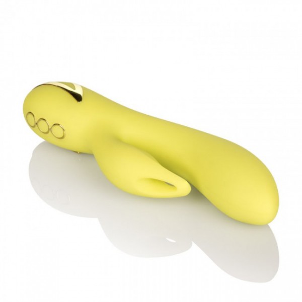 CALIFORNIA DREAMING VENICE VIXEN