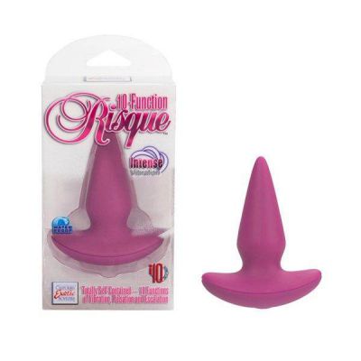 10 Function Risque Butt Plug