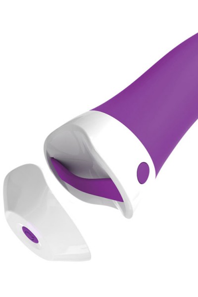 Pipedream Wall Banger G-Spot 7.6" Vibrator With Remote