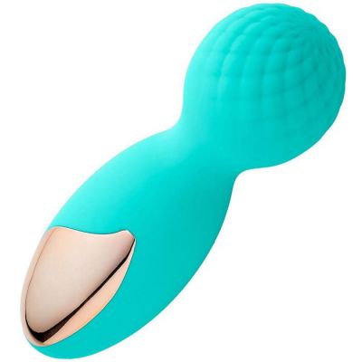 Health Wellness Petite Flexi Massager Wand