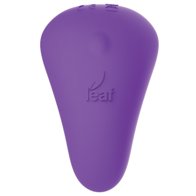 B M S Enterprises Leaf Spirit Panty Vibe Purple