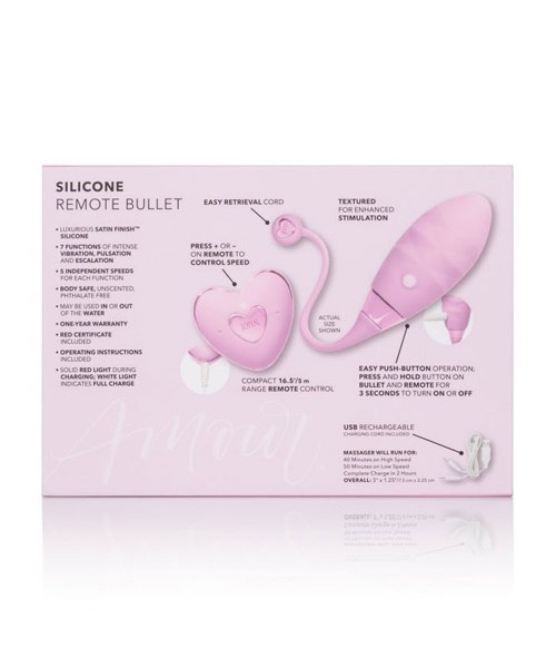 Amour remote bullet