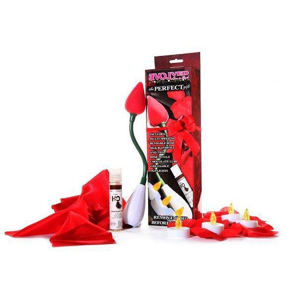 The Perfect Gift rose