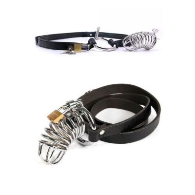 Pipedream Steel Cock Cage With Lock Chastity Belt