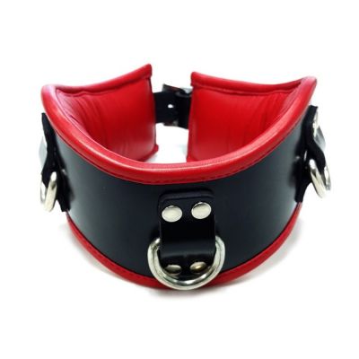 Rouge Posture Collar Black Red