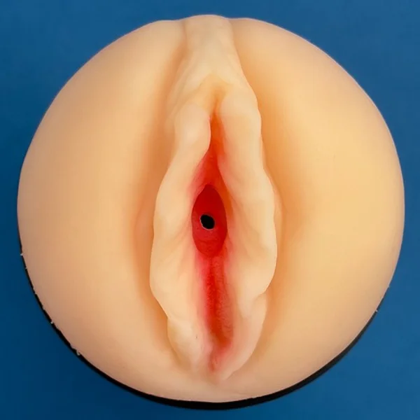 Vibrating pussy in a plastic case — image 9 of 12