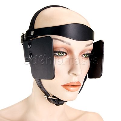 Scalloped brow pony bridle