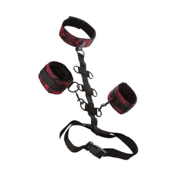 Scandal Collar Body Restraint