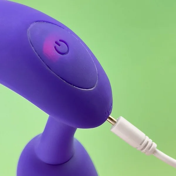 Dual igniter — image 14 of 15
