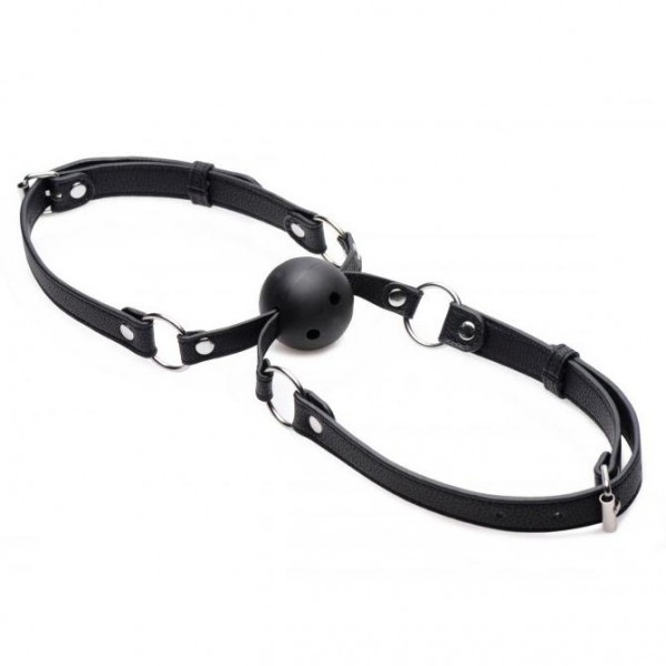 Strict Double Mouth Gag