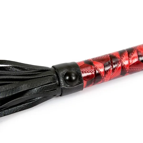 Passionate flogger — image 9 of 10
