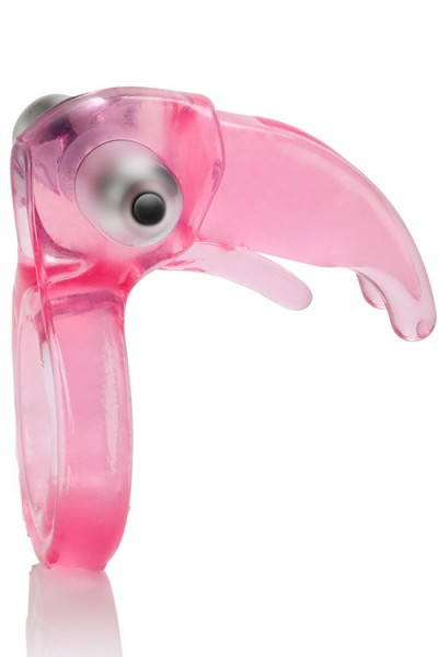 California Exotic Cock Ring with Clitoral Stimulators