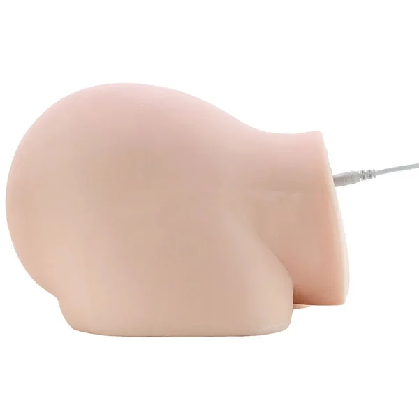 Dirty Talk Interactive Realistic Vagina and Ass Masturbator — image 21 of 25