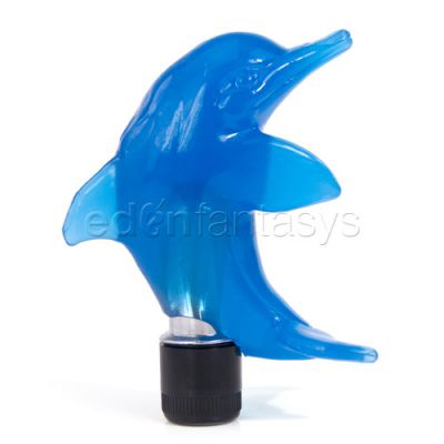 Tiny teasers dolphin