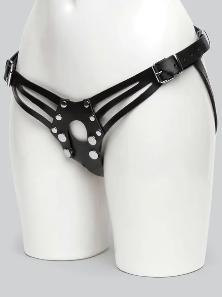 DOMINIX Deluxe Leather Strap-On Harness — image 24 of 24