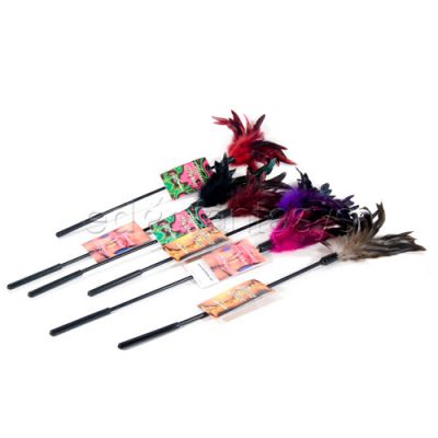 Starburst feather 6ps