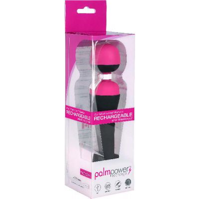 PalmPower Massage Wand Recharge Waterproof