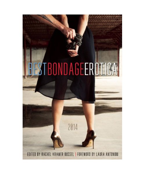Best bondage erotica 2014