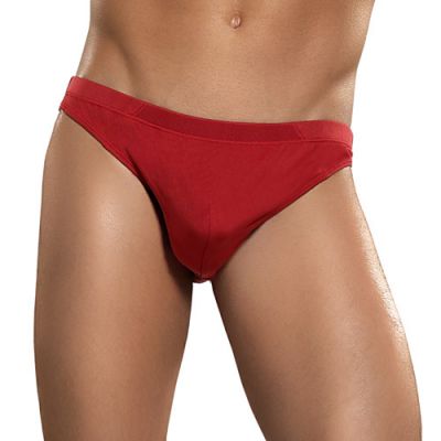 Red knit silk briefs