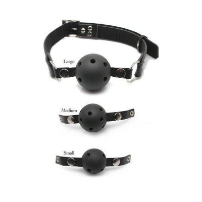 Fantasy Ball Gag Training System