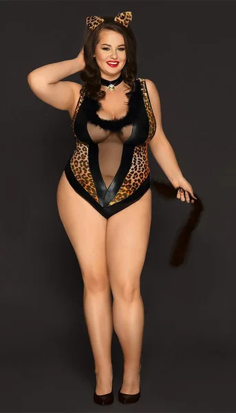 Sexy and Sheer Cheetah Bodysuit Cat Costume — image 6 of 7