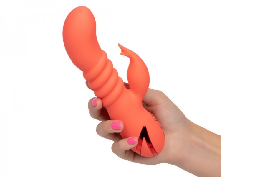 CALIFORNIA DREAMING ORANGE COUNTY CUTIE