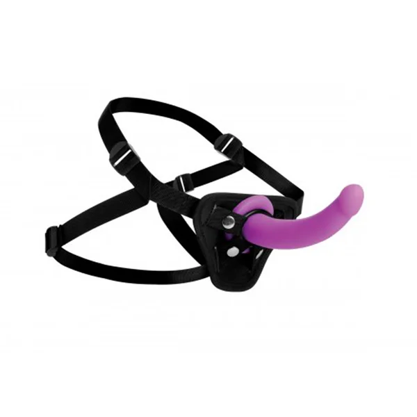 Silicone G-Spot Dildo & Sex Harness Set — image 14 of 15