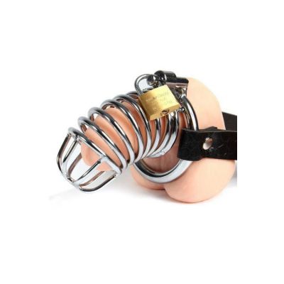 Pipedream Steel Cock Cage With Lock Chastity Belt