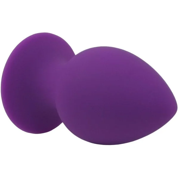 Silicone Anal Plug - Have Safe & Comfortable Anal Play! — image 13 of 13