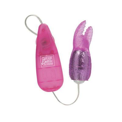 Hi Intensity Snow Bunny Stimulator