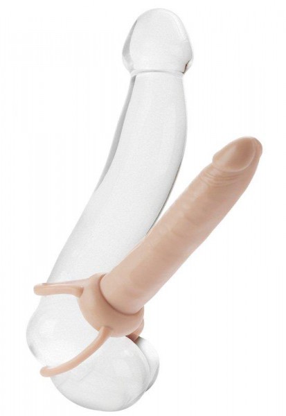 The Accommodator Double Penetrator System