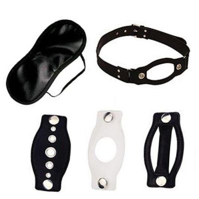 Bondage Mouth Gag Kit